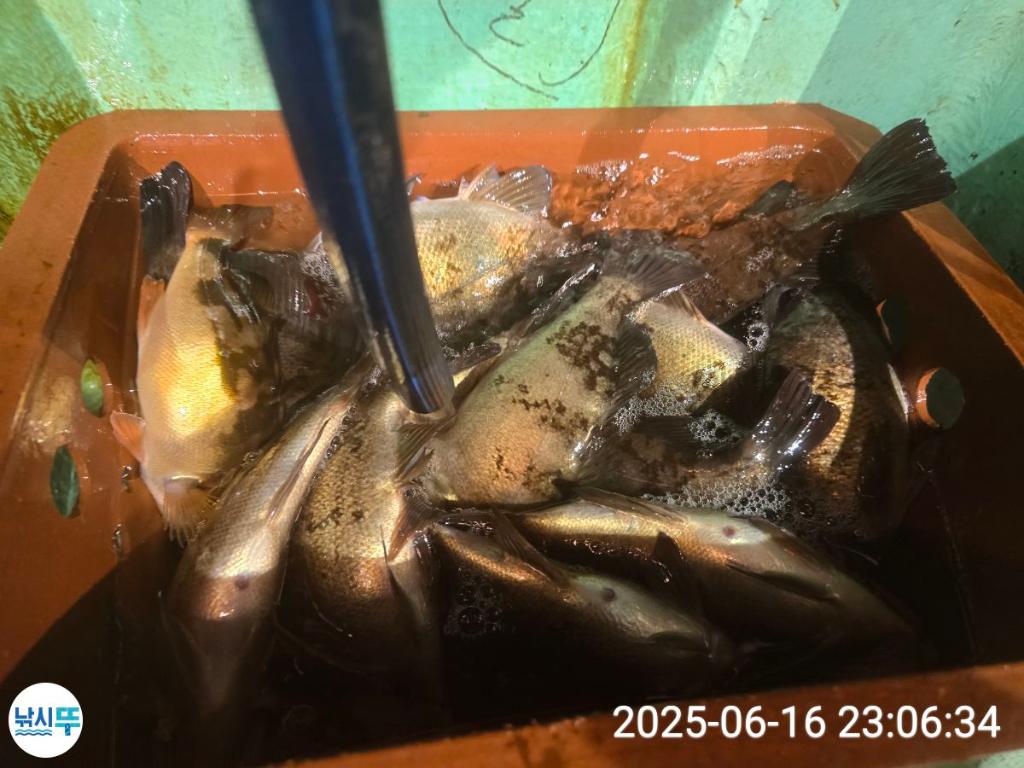 F2701825CK.jpg