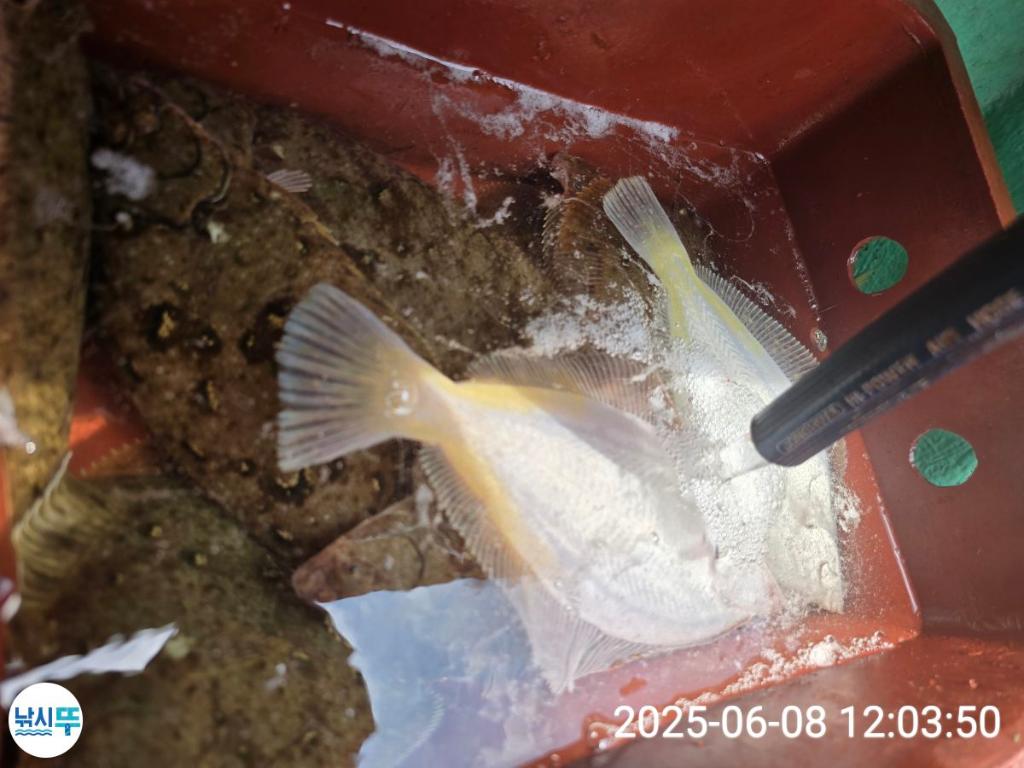 F2702027JV.jpg