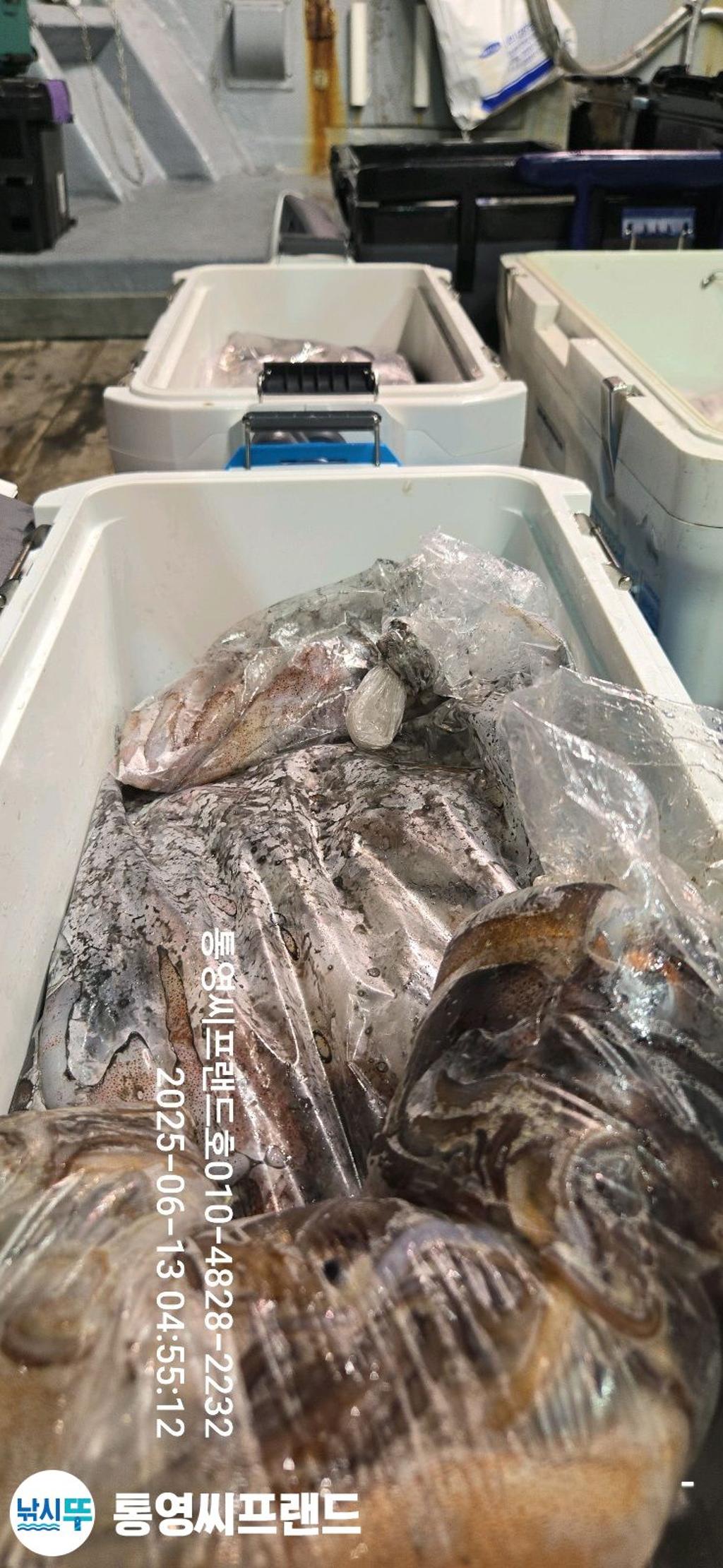 F270206342.jpg
