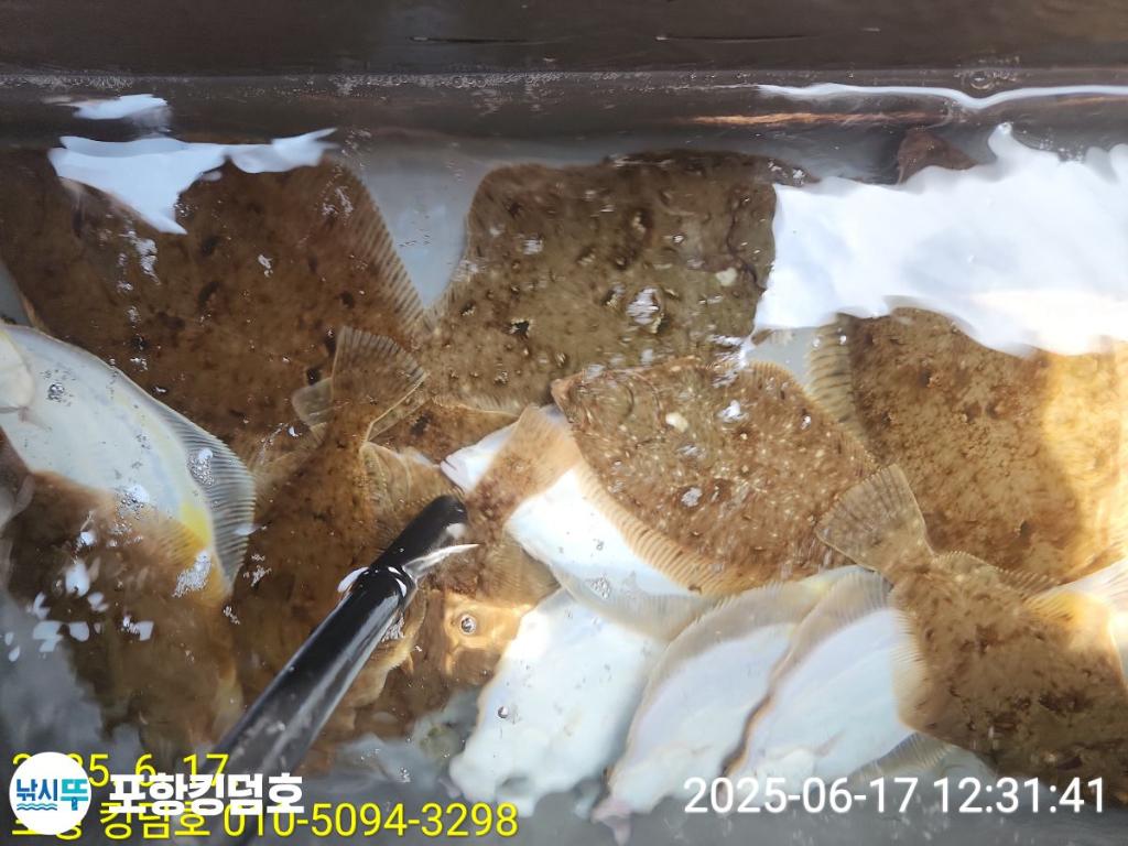 F2702085TX.jpg