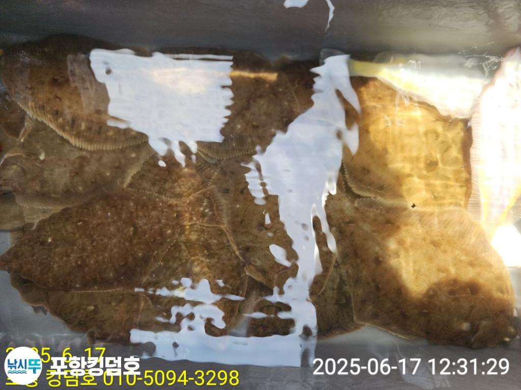 F2702086QE.jpg