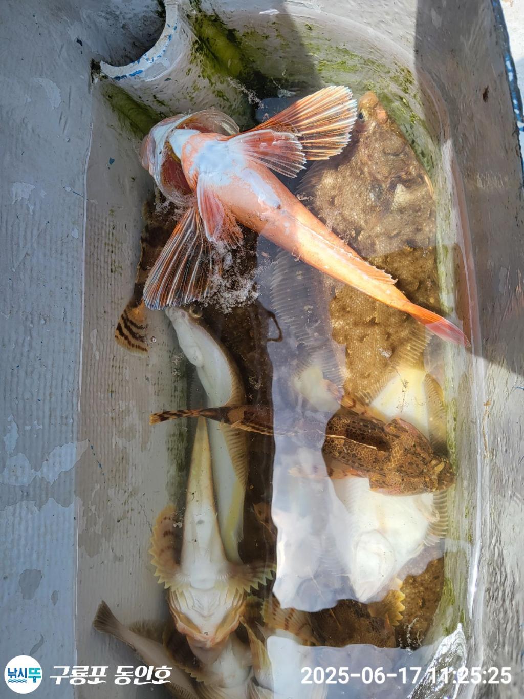 F2702172HF.jpg