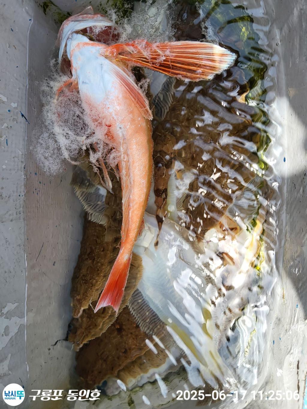 F2702176ZF.jpg
