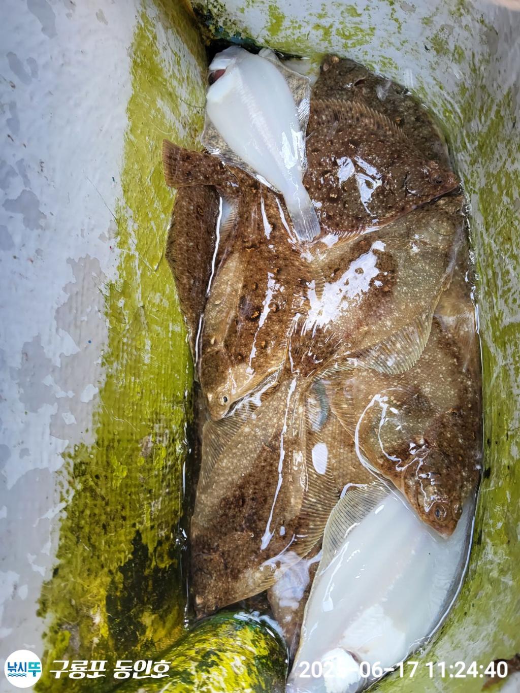 F2702181W9.jpg
