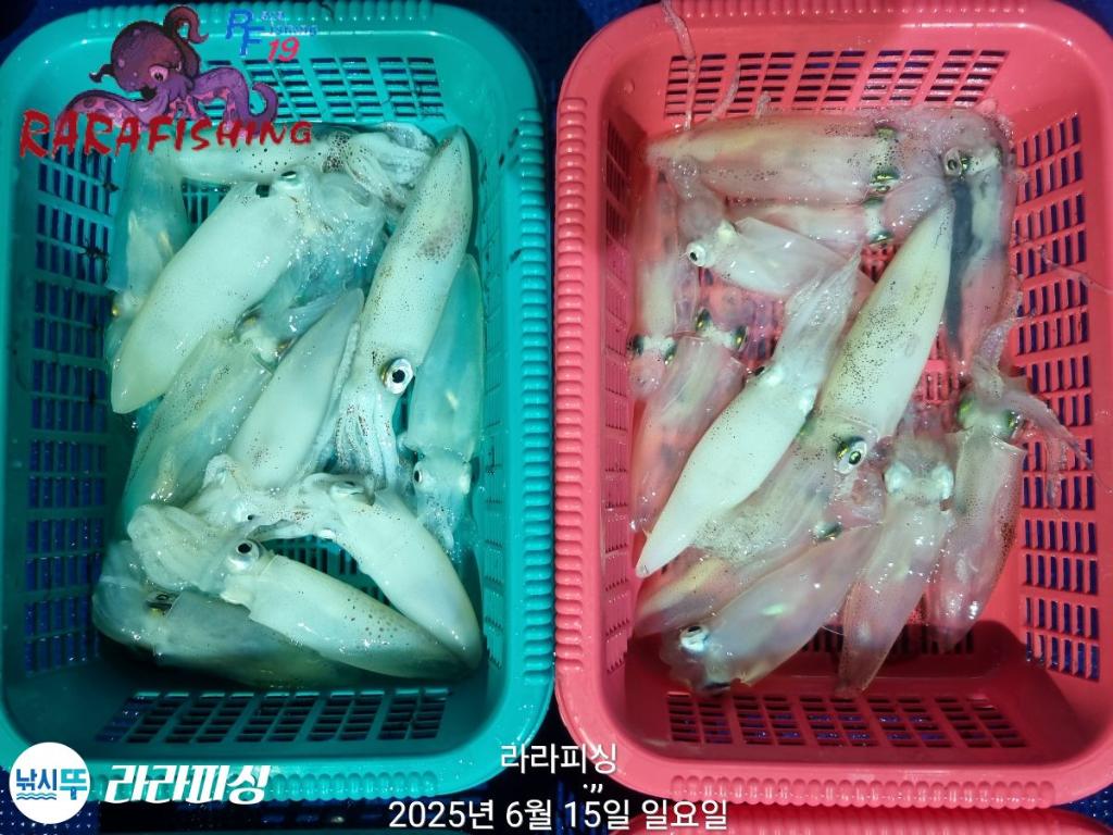 F2702238AV.jpg