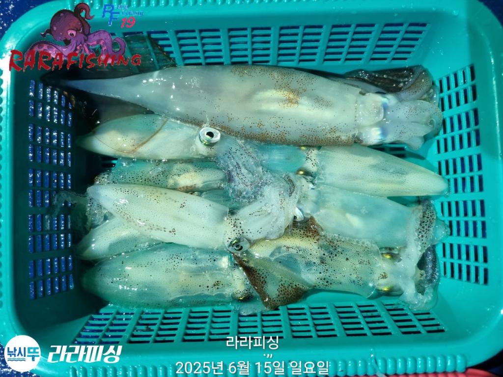 F2702239AT.jpg