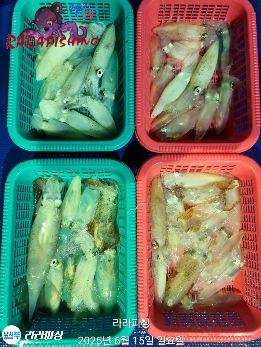 F2702244UT.jpg