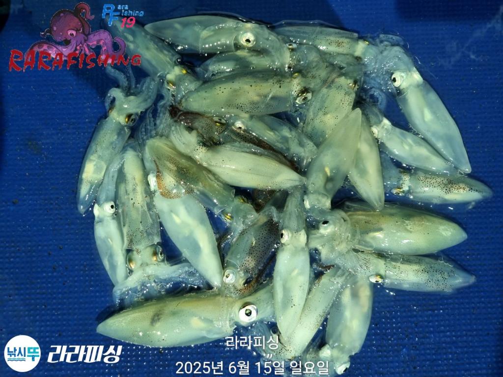F2702245WU.jpg