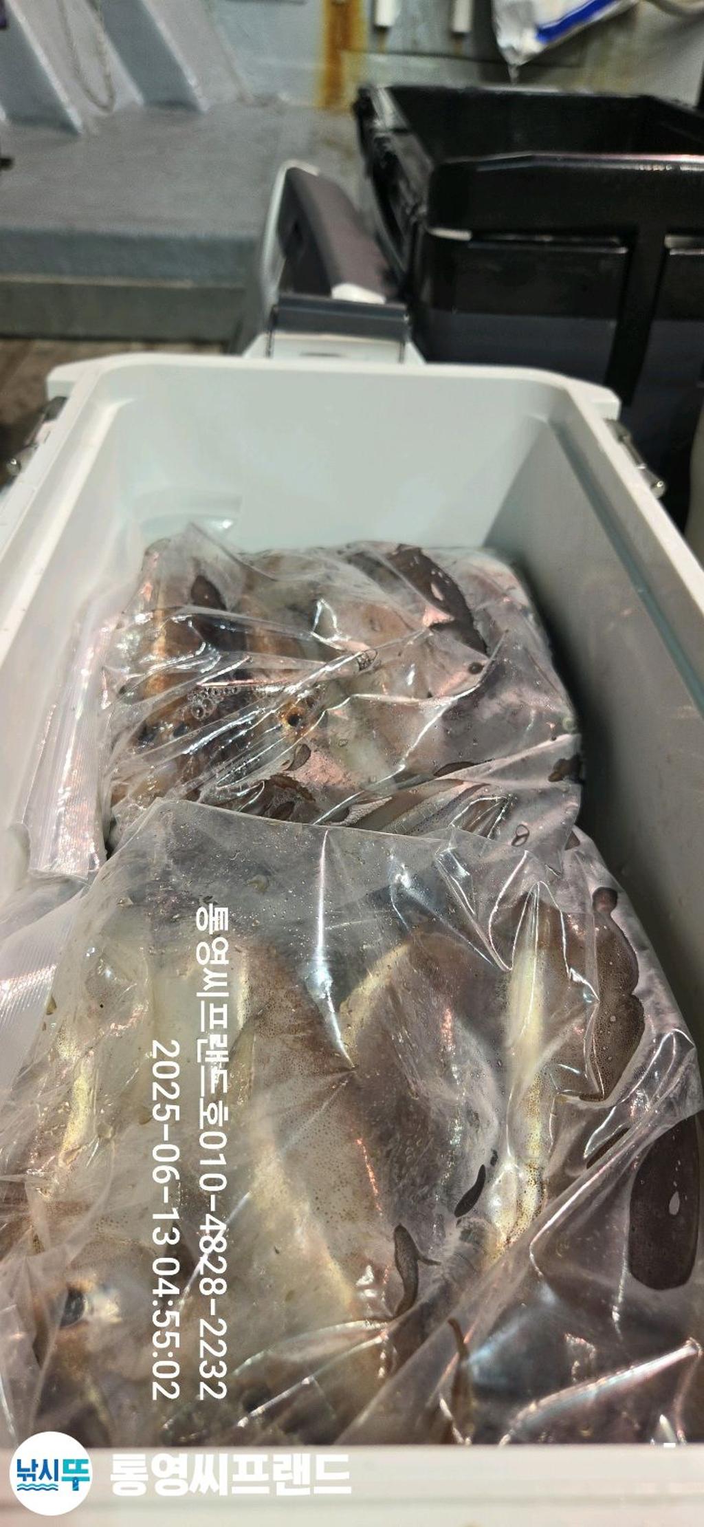 F270234960.jpg
