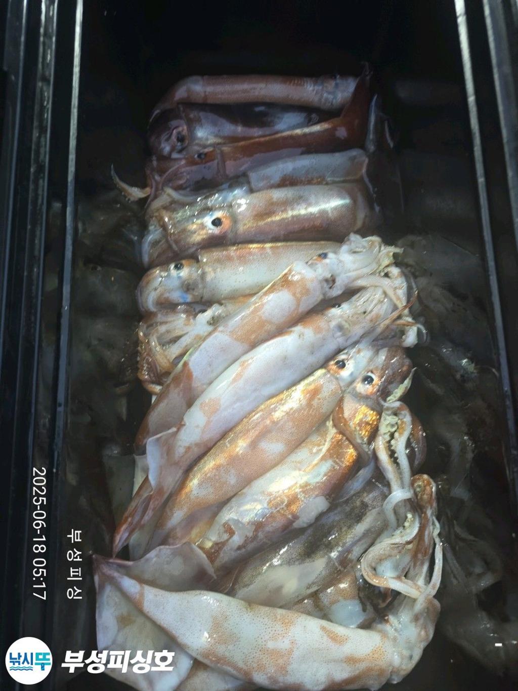 F2702464VT.jpg
