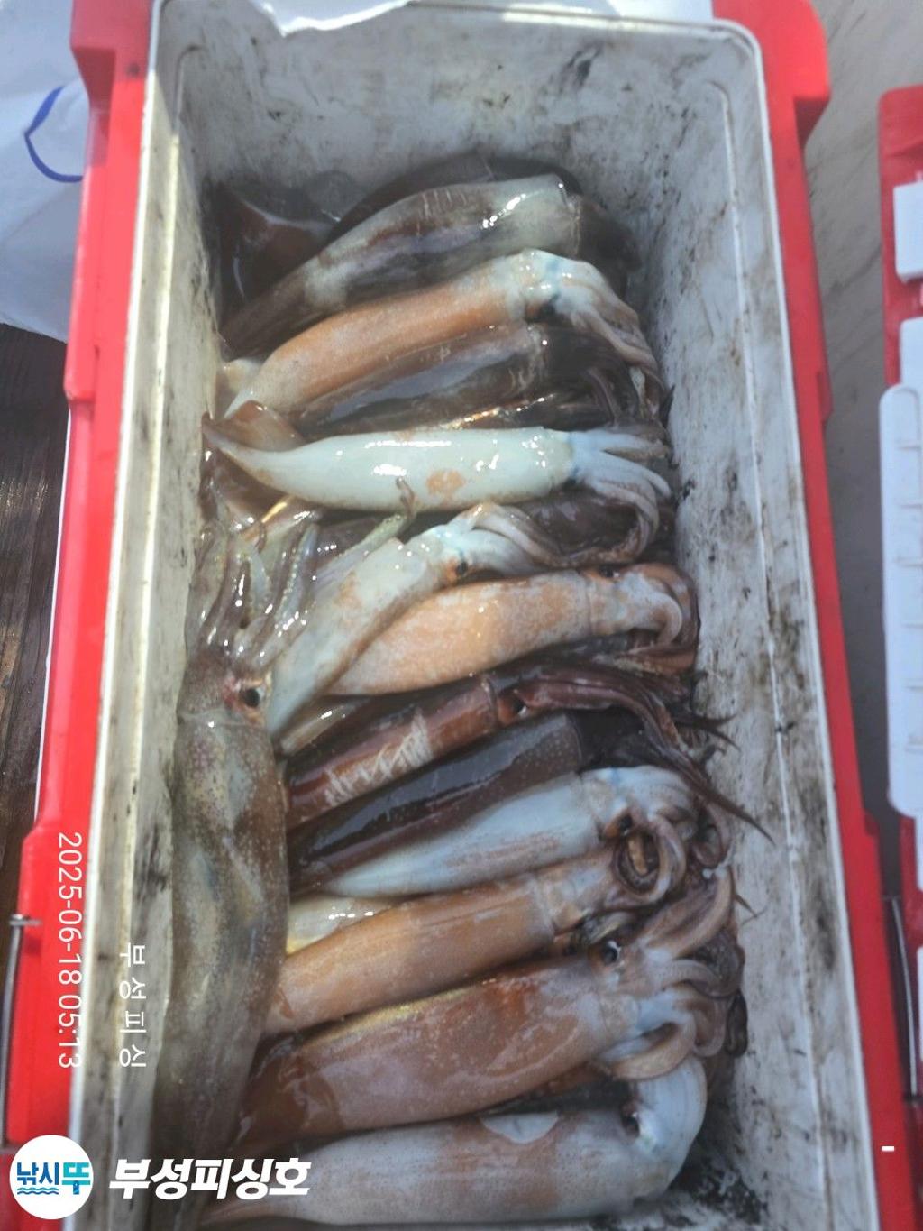 F2702465VB.jpg