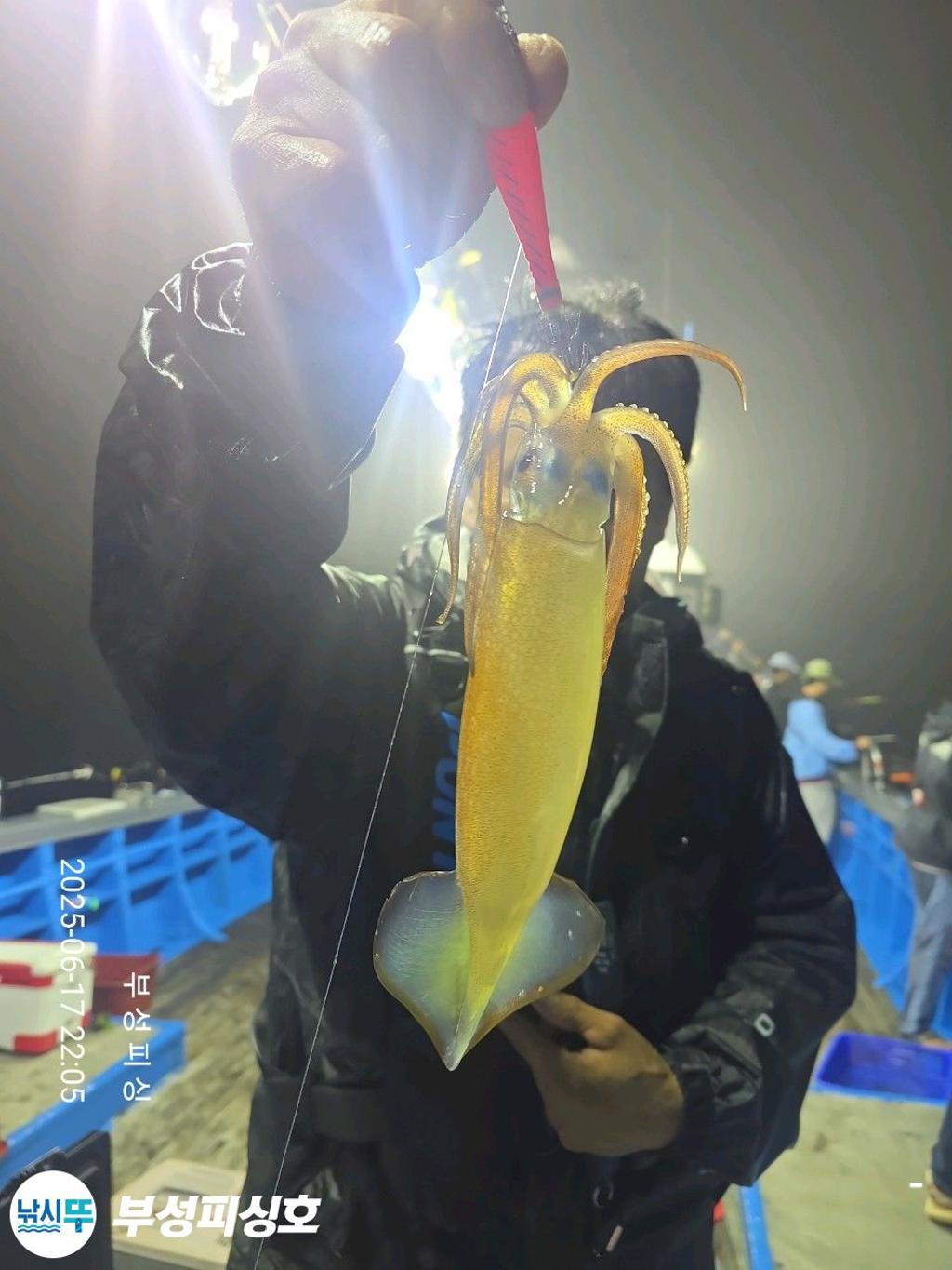 F2702471G2.jpg