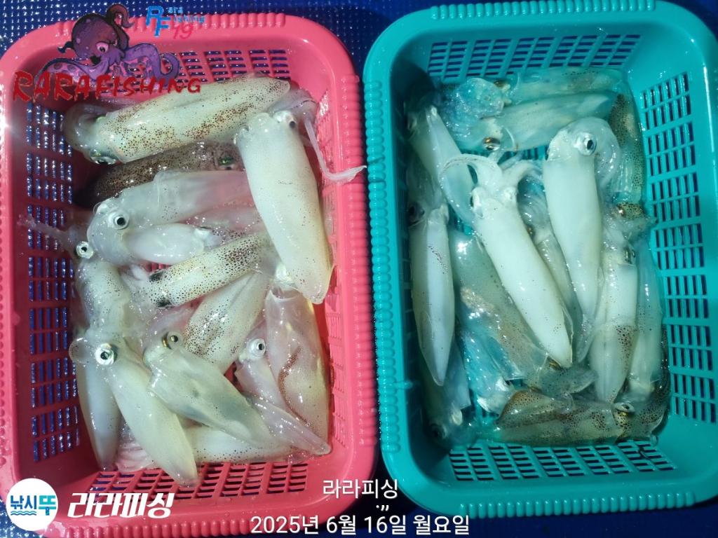 F2702612FG.jpg
