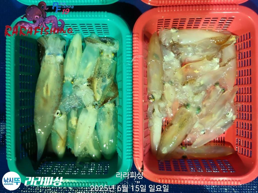 F27027287M.jpg