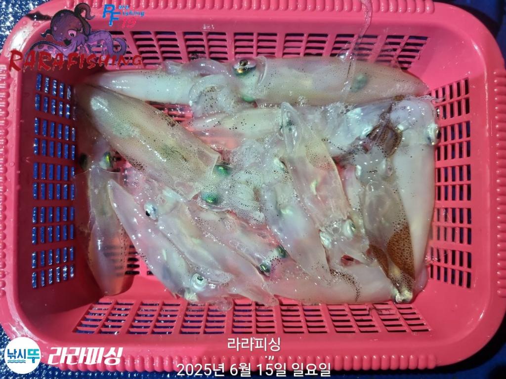 F2702733WI.jpg