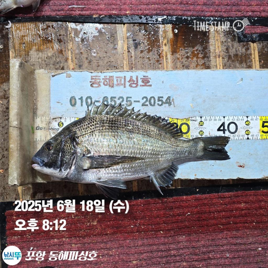 F2702760HL.jpg