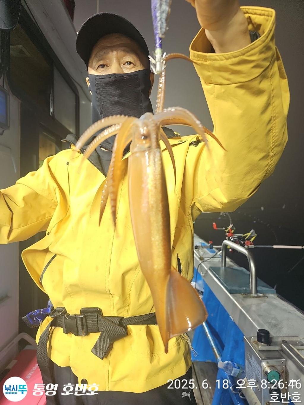 낚시뚜,한치,통영 신전항,통영호반호,낚시뚜10
