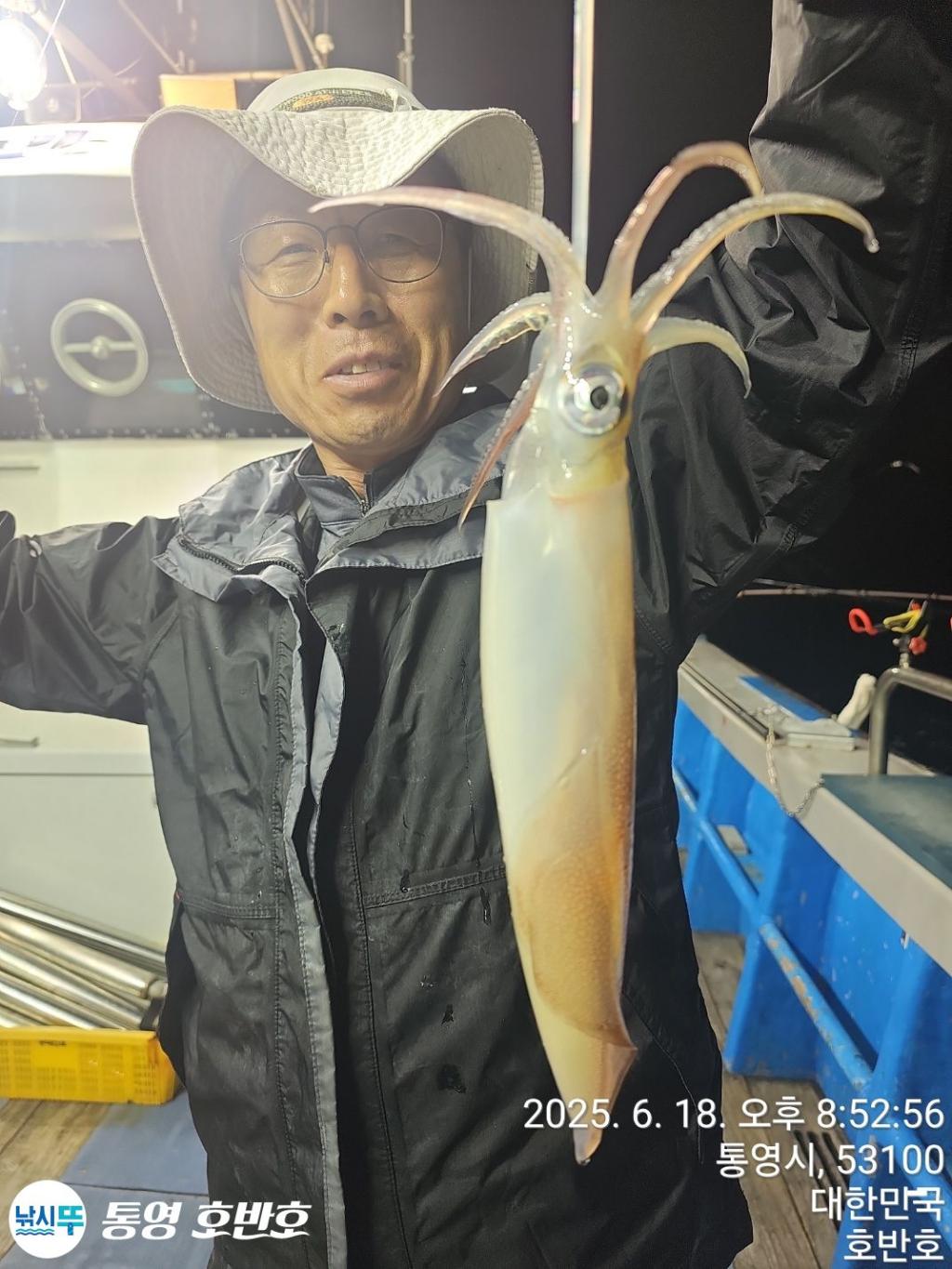 낚시뚜,한치,통영 신전항,통영호반호,낚시뚜8