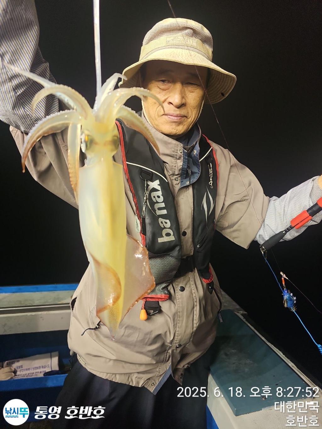 낚시뚜,한치,통영 신전항,통영호반호,낚시뚜5