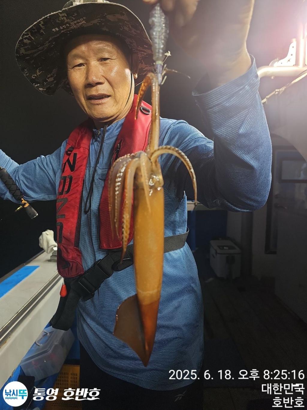 낚시뚜,한치,통영 신전항,통영호반호,낚시뚜1