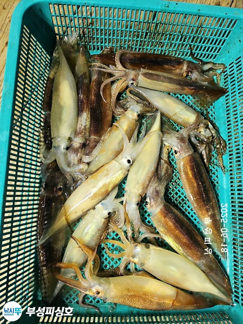 F2702800P1.jpg