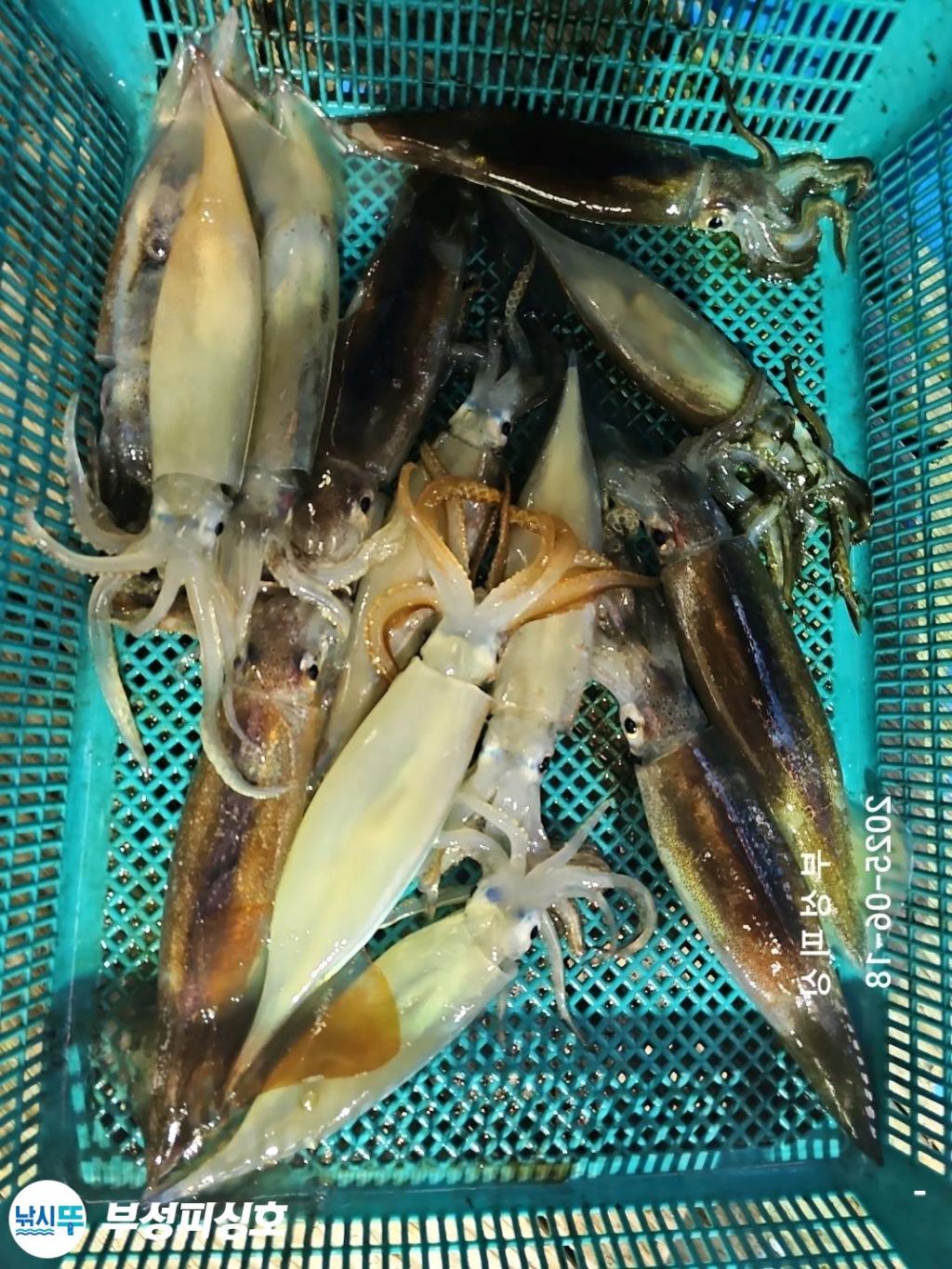 F2702801TS.jpg