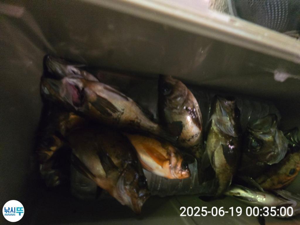 F2702811OE.jpg