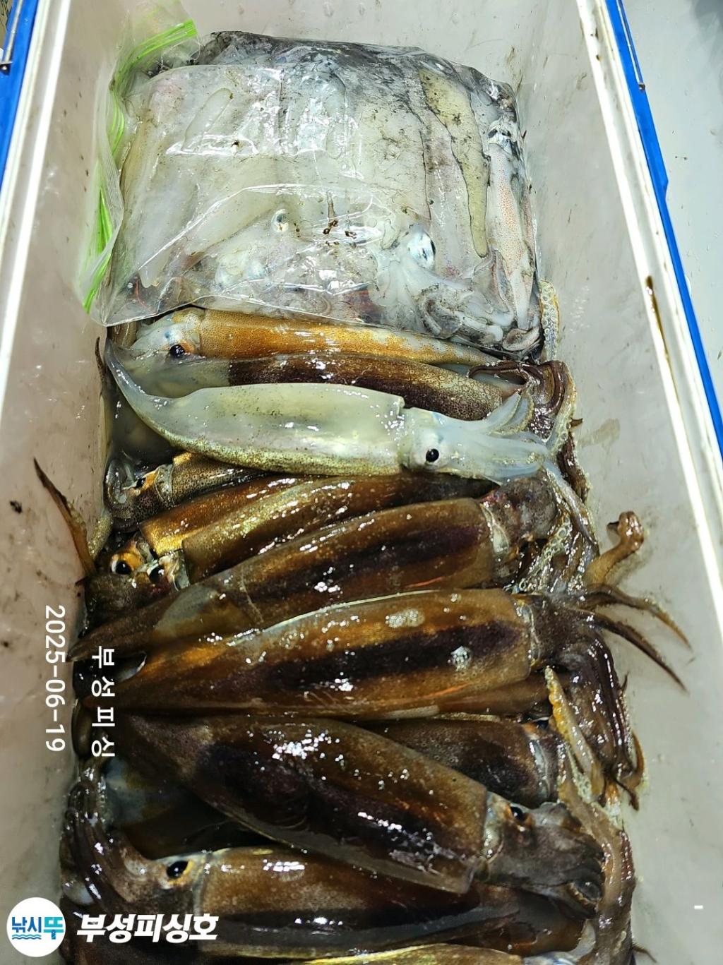F2702865ZP.jpg