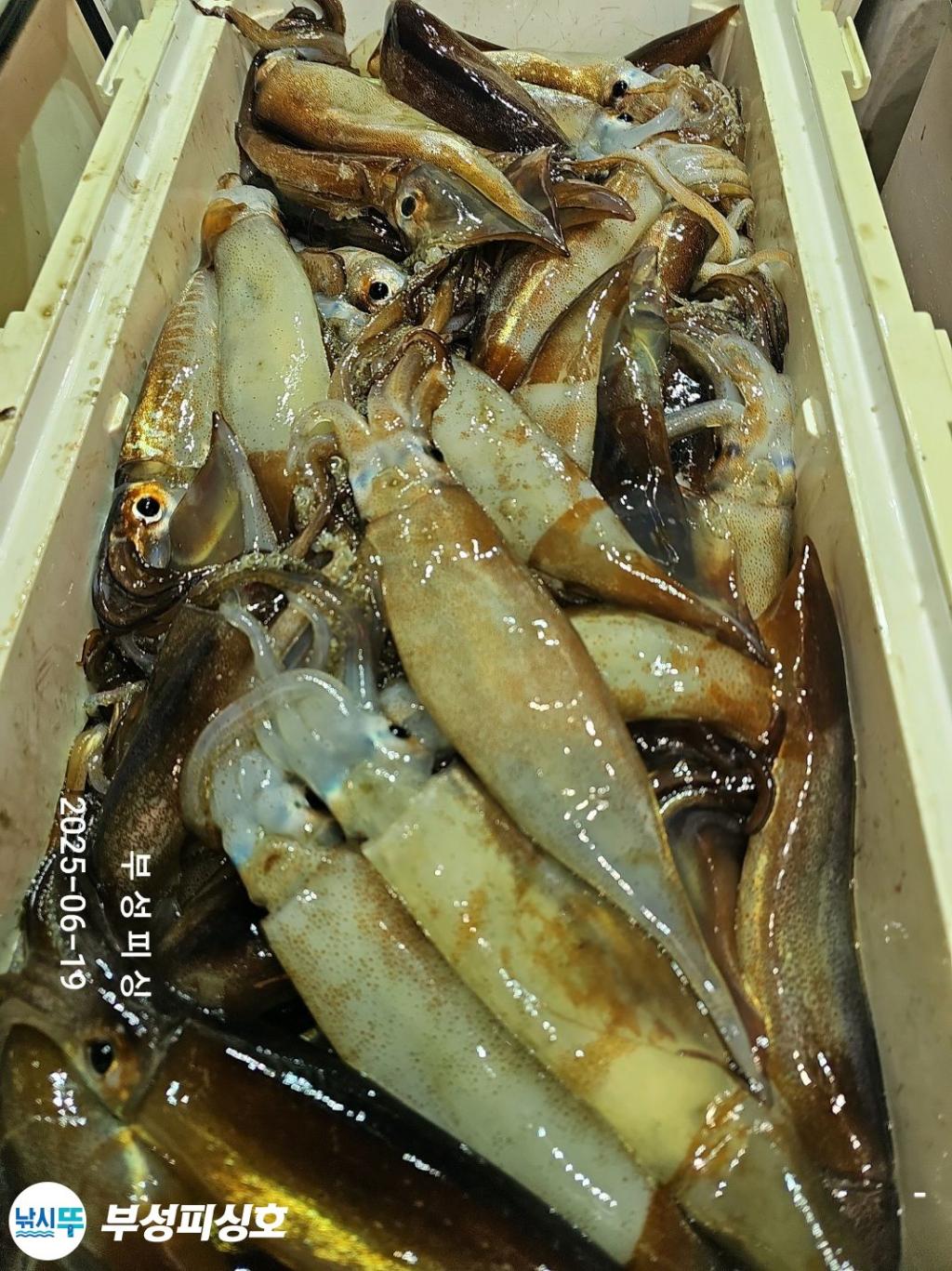F270286601.jpg