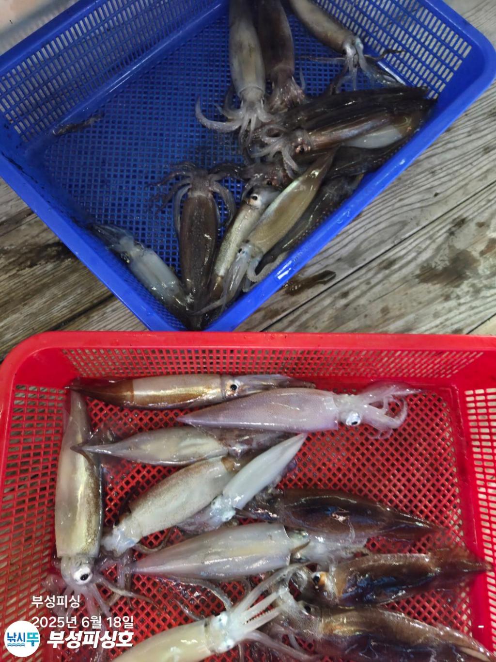 F2702876NC.jpg
