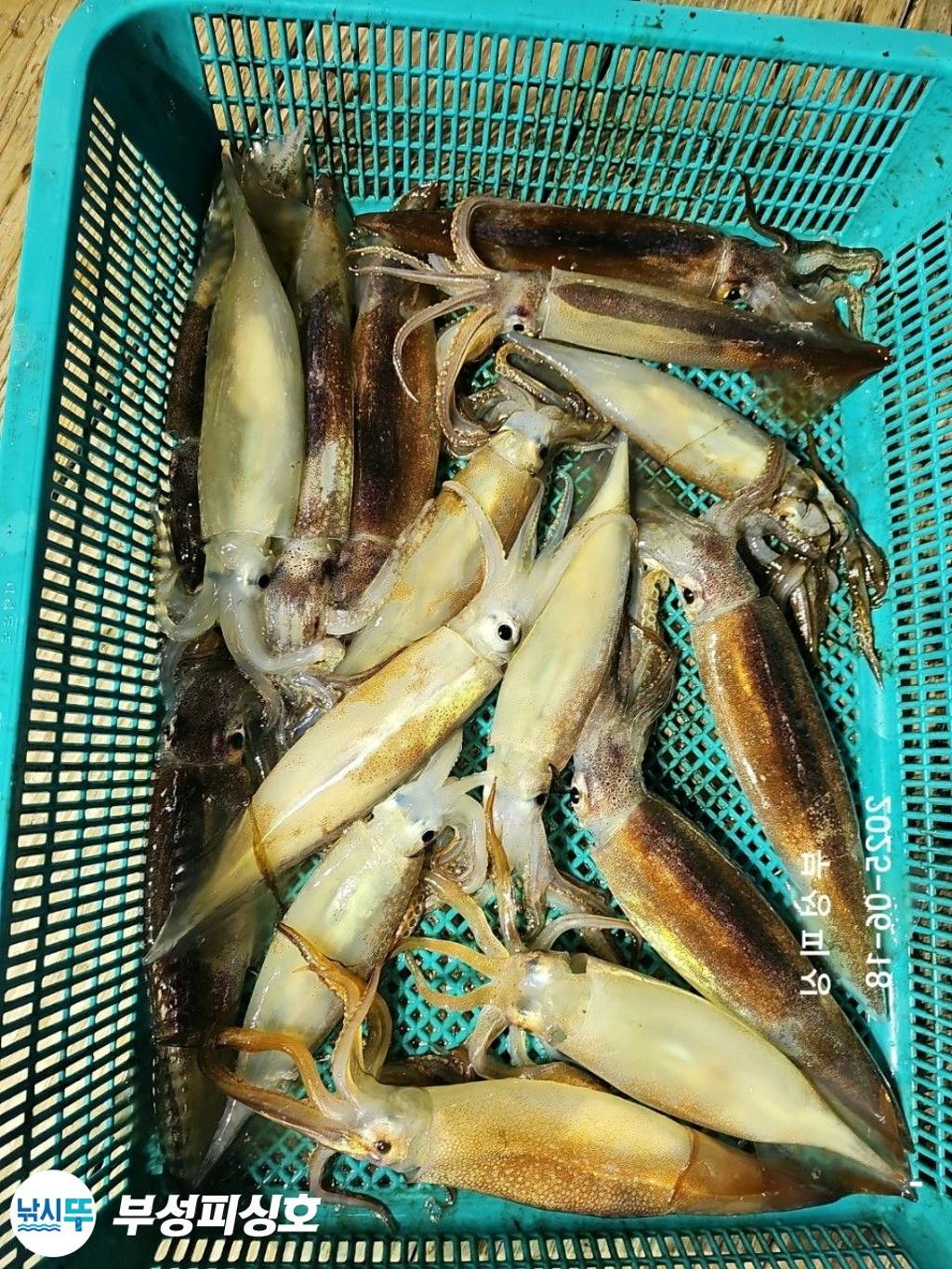 F2702877KT.jpg