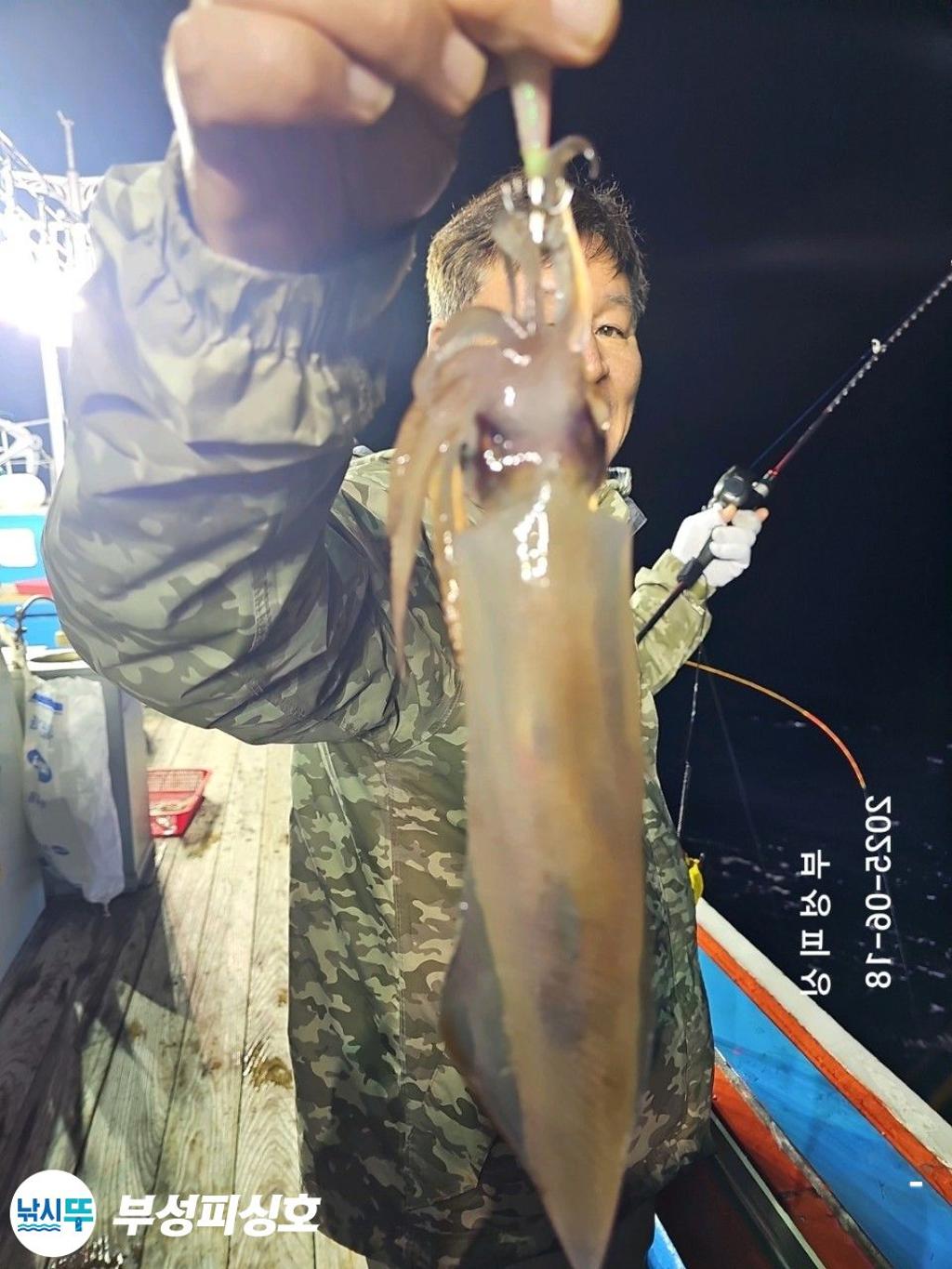 F27028878I.jpg