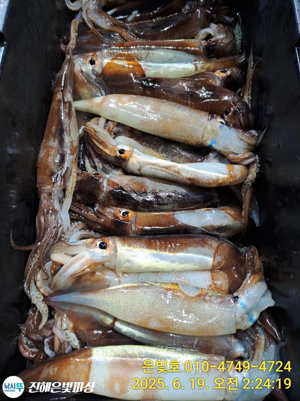F270293648.jpg