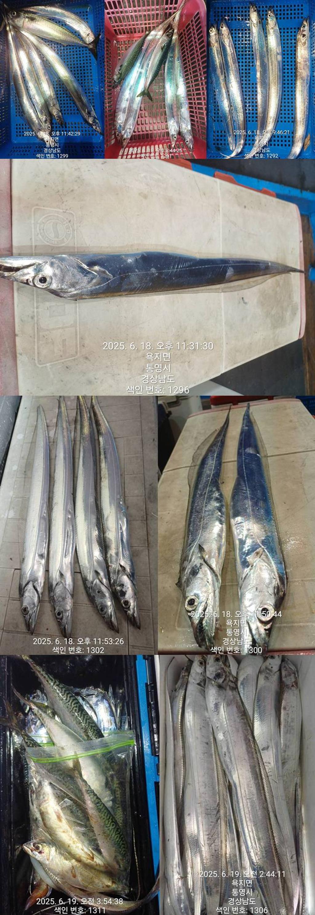 F270298134.jpg