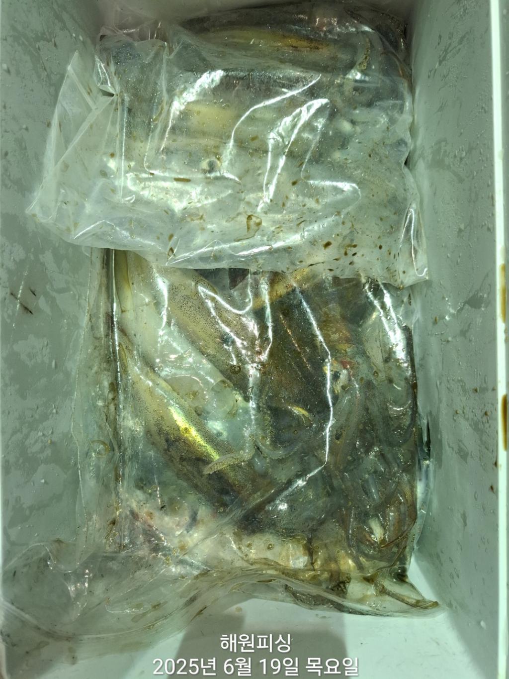F2702988TK.jpg