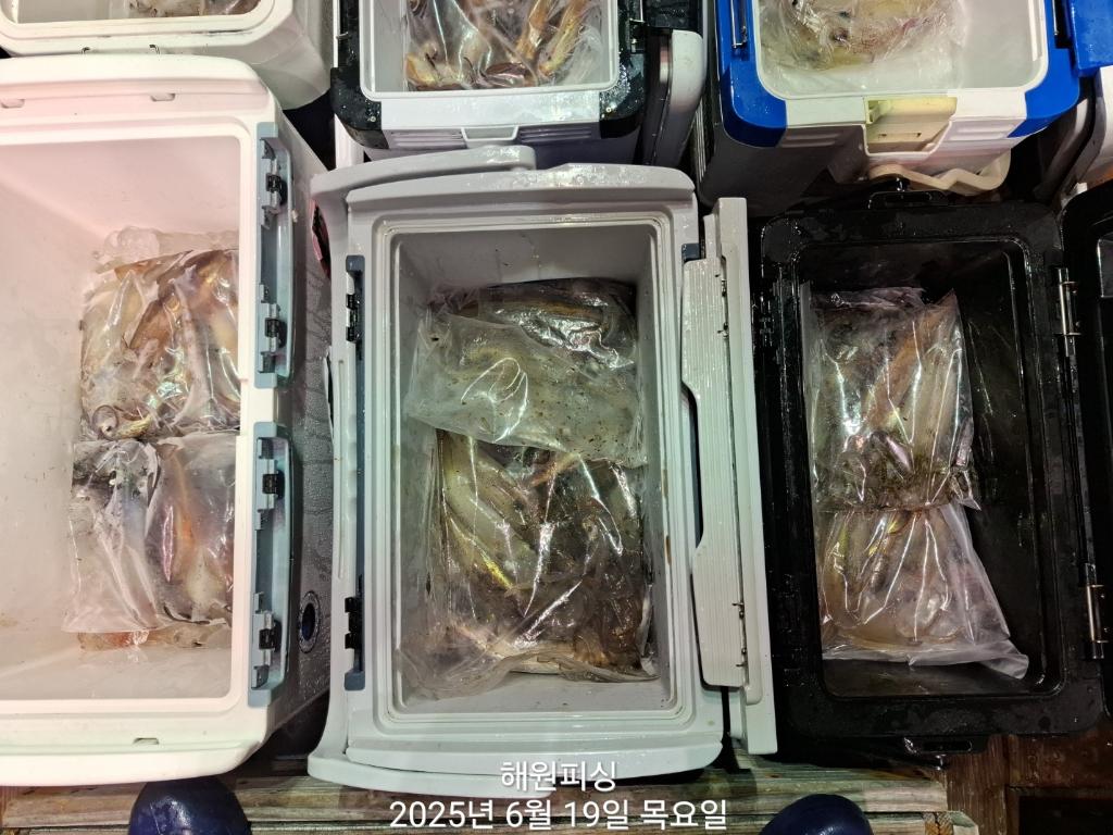 F270299152.jpg