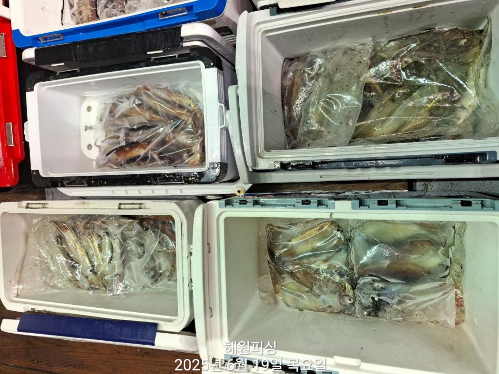 F2702992J3.jpg