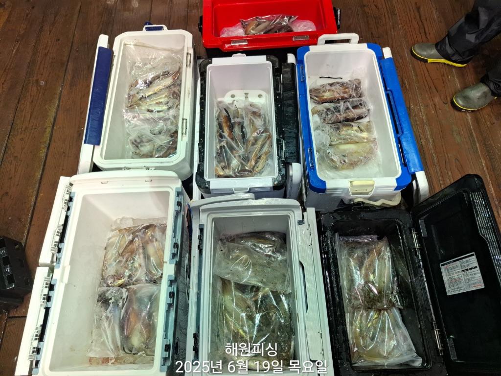F2702997KO.jpg