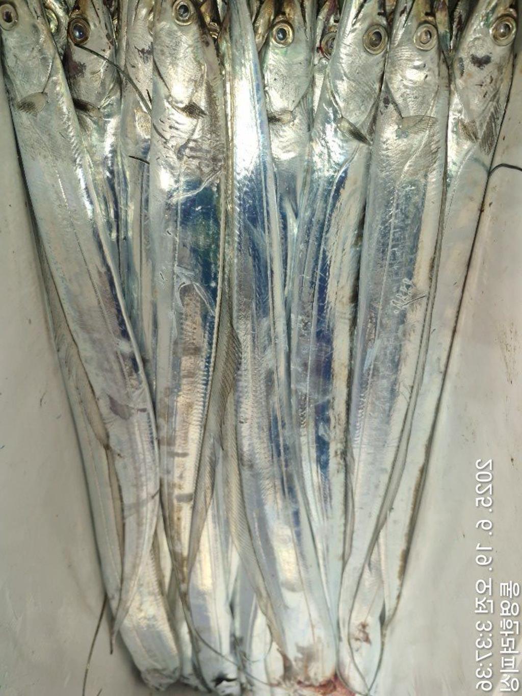 F2703012B7.jpg