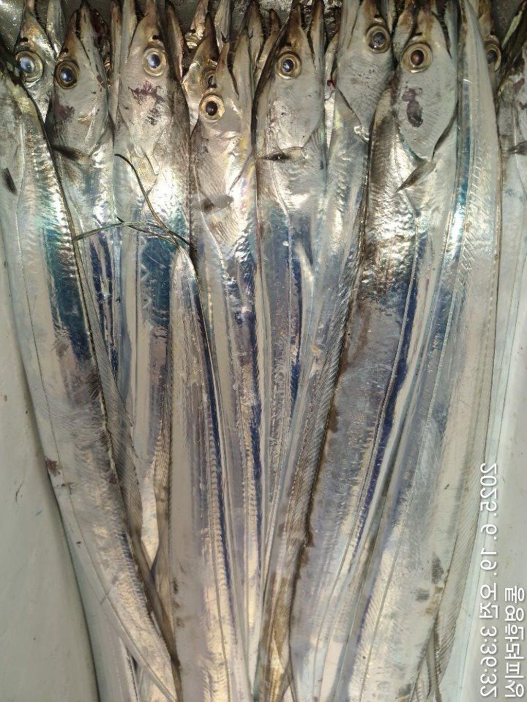 F2703013HO.jpg
