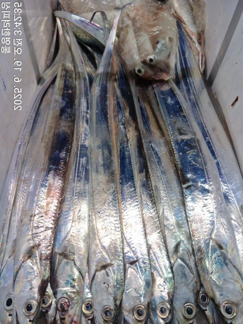 F2703014RN.jpg