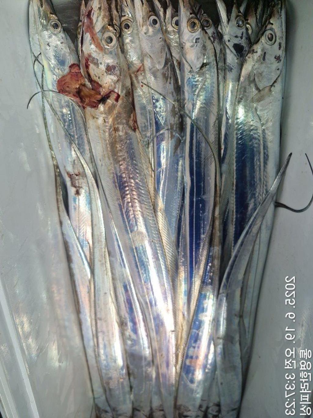 F27030158V.jpg