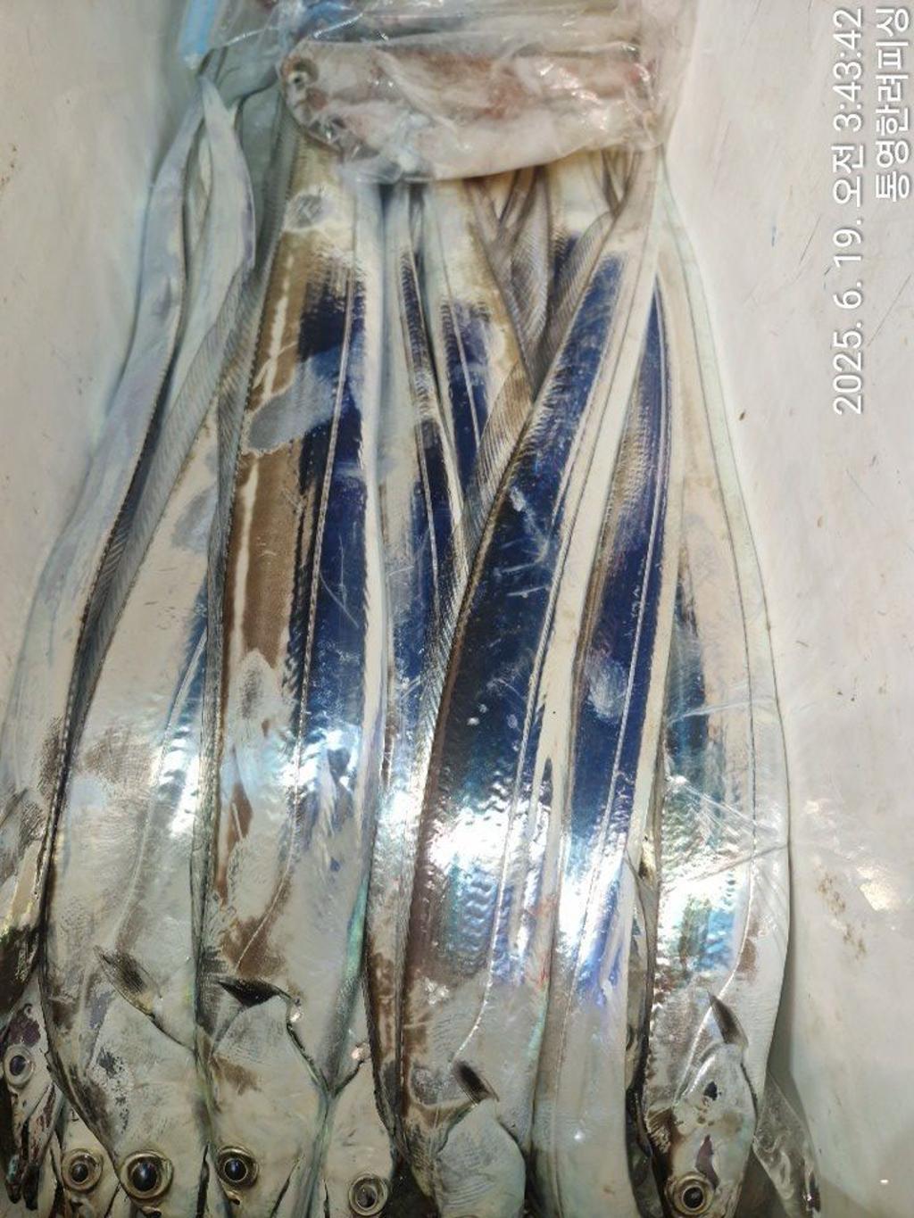 F2703016N8.jpg