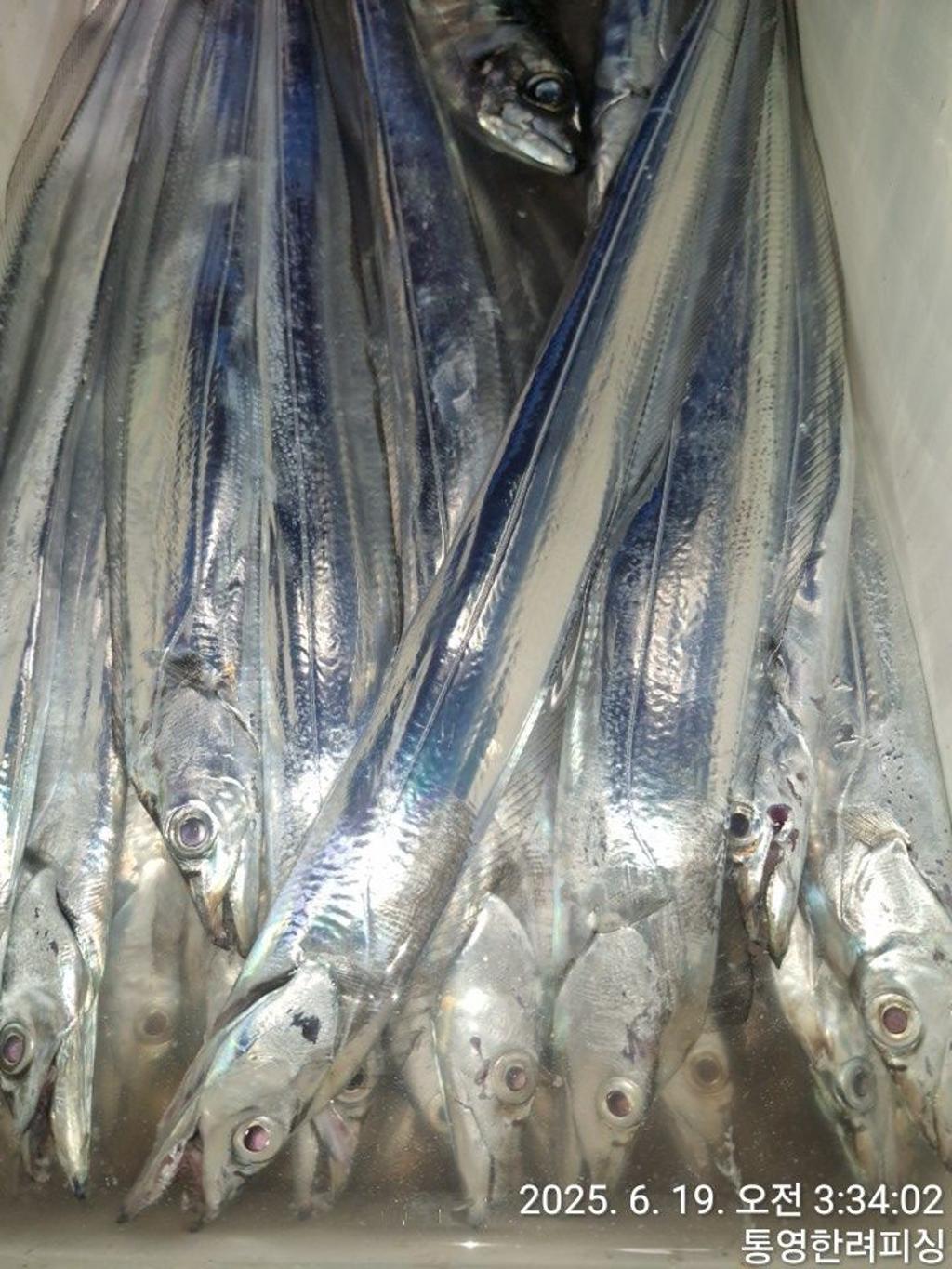 F2703017VO.jpg