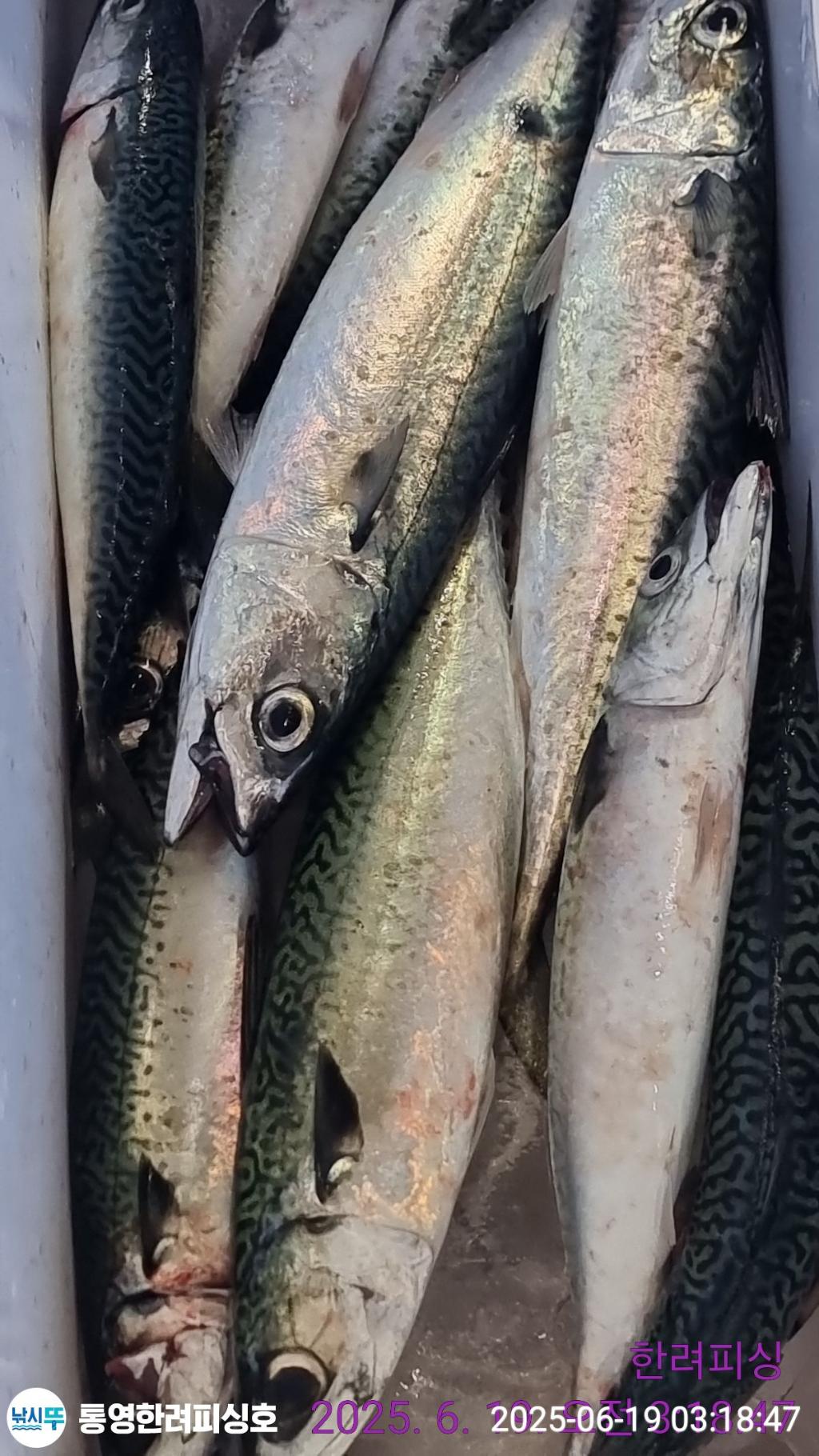 F27030207U.jpg