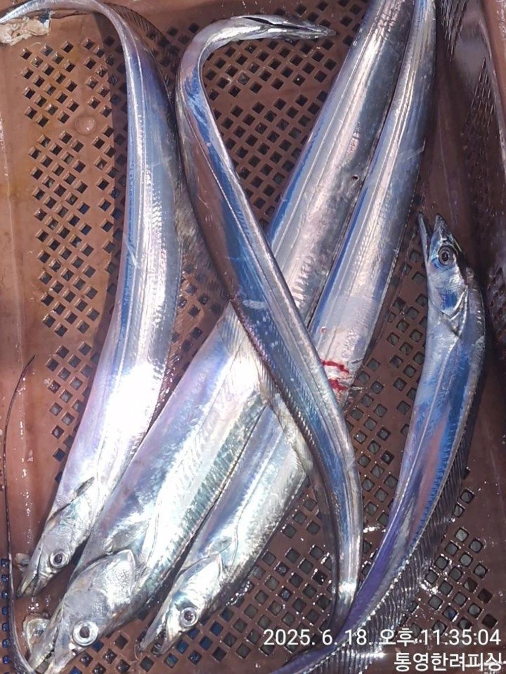 F2703025DV.jpg