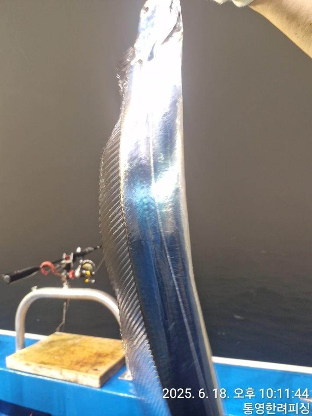F2703031EW.jpg