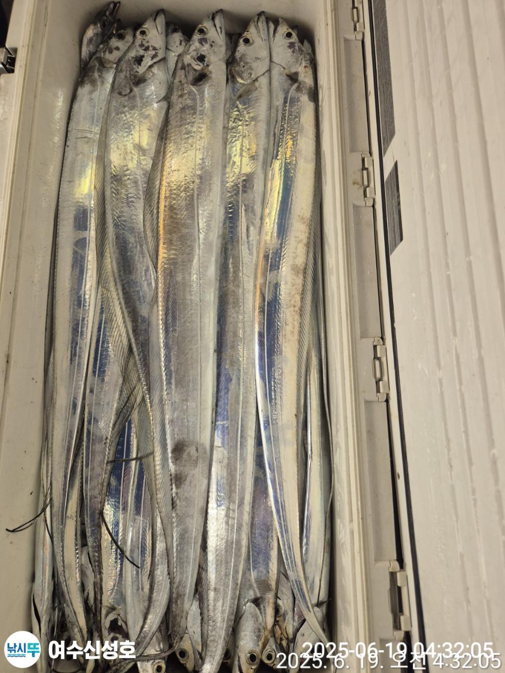 F2703037NL.jpg