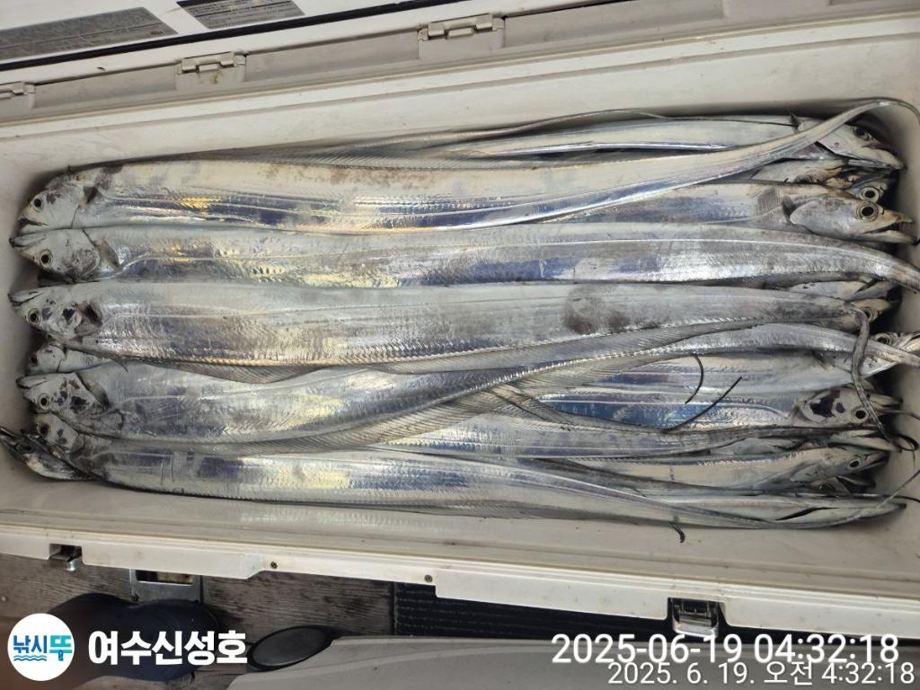 F27030395S.jpg