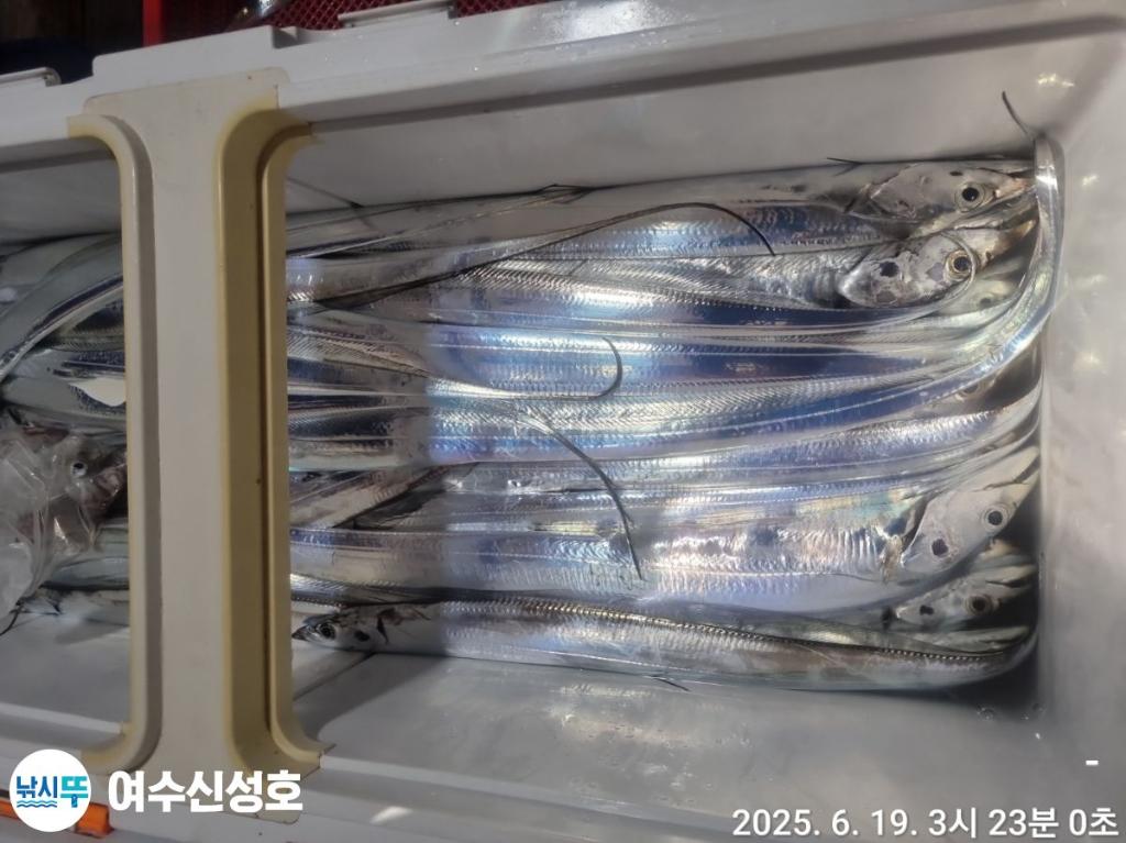 F270304775.jpg